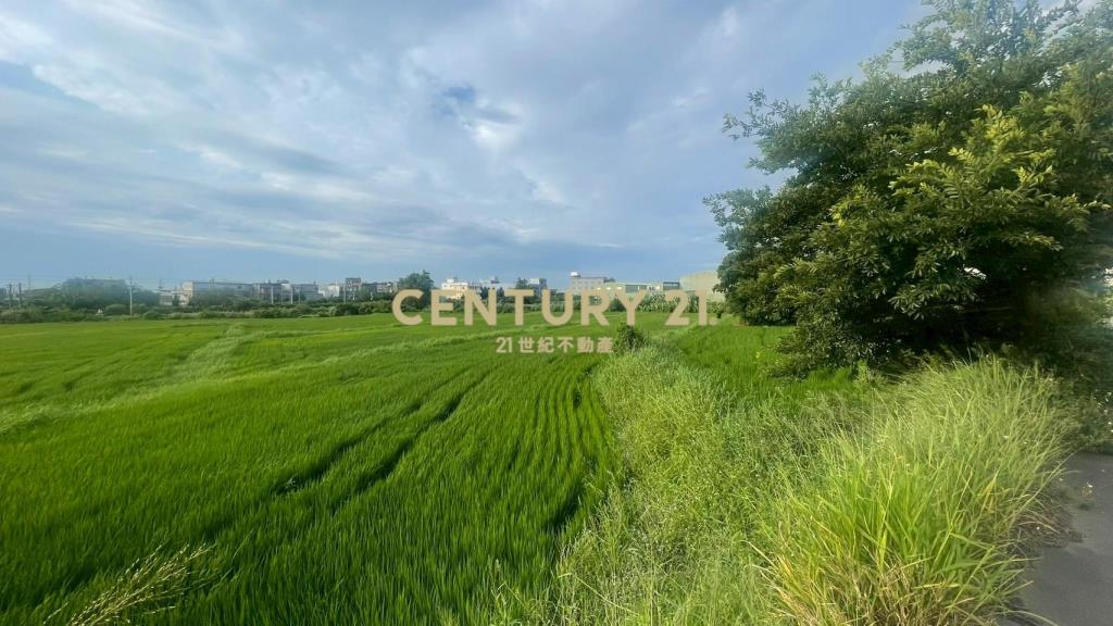 近王爺壟美田1329坪