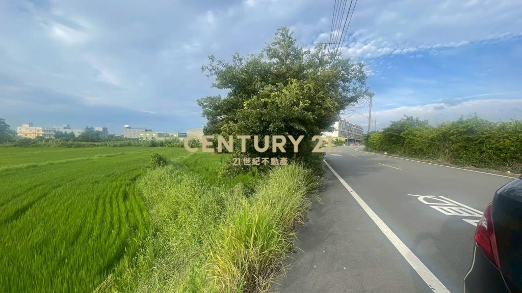 近王爺壟美田1329坪