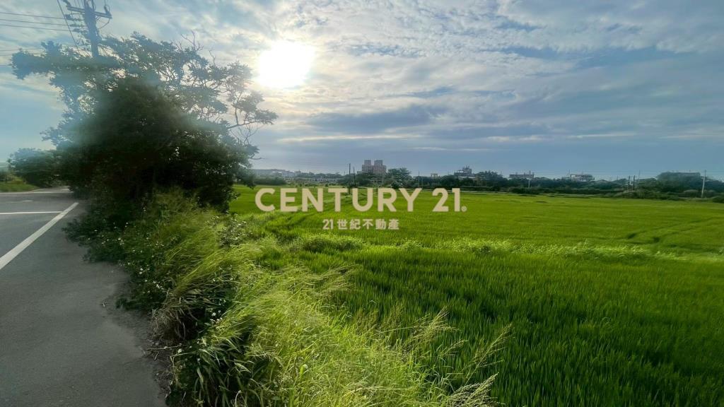 近王爺壟美田1329坪