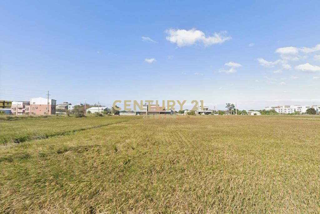 新豐方正農保田376坪