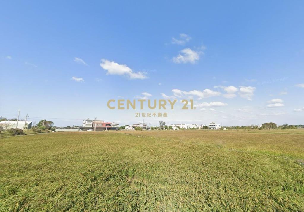 新豐方正農保田376坪