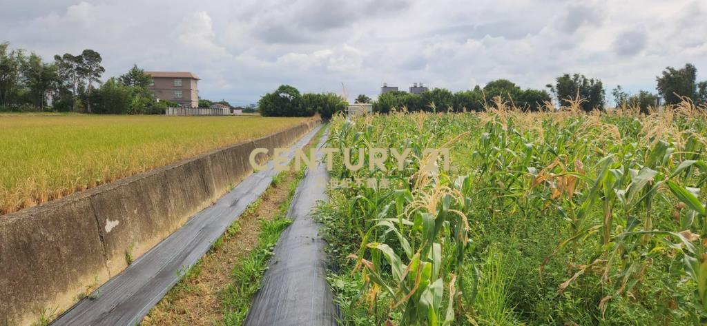 湖口市區旁優質合法資材室-A