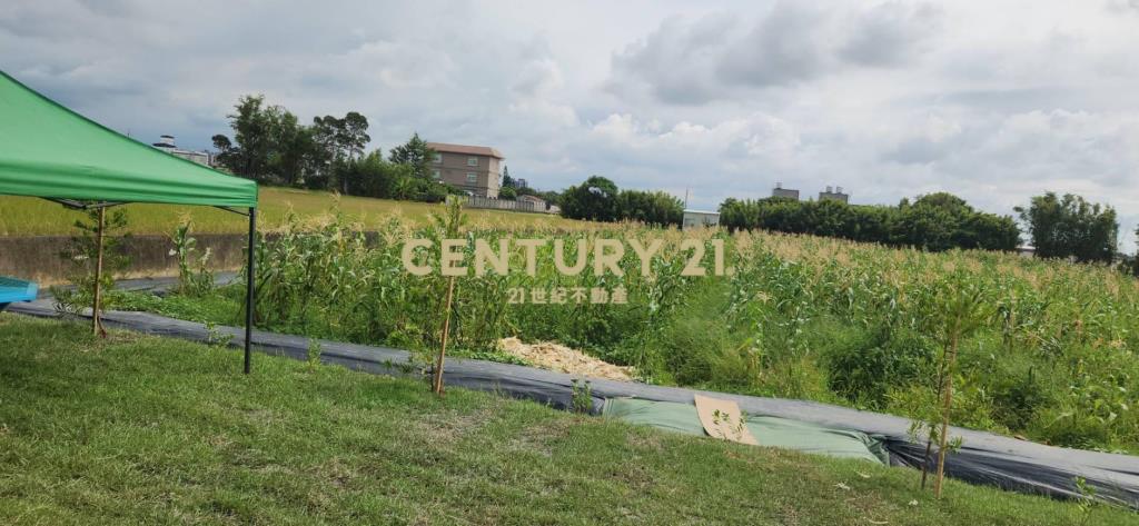 湖口市區旁優質合法資材室-A