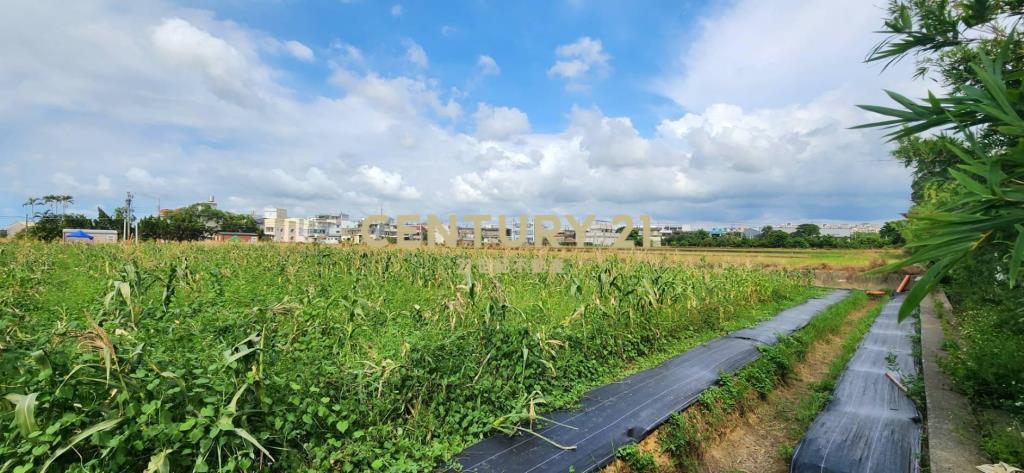 湖口市區旁優質合法資材室-B