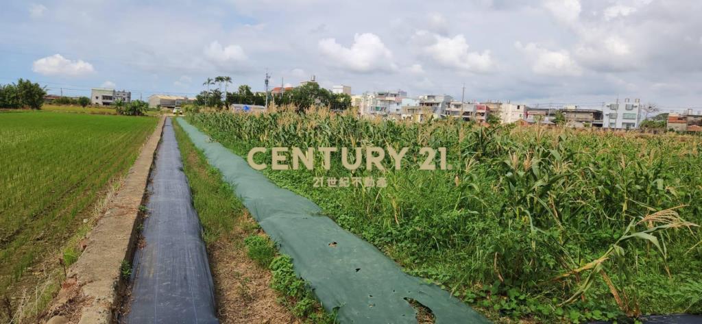 湖口市區旁優質合法資材室-B