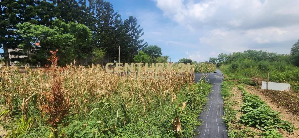 湖口近市區合法優質資材室-轉角地