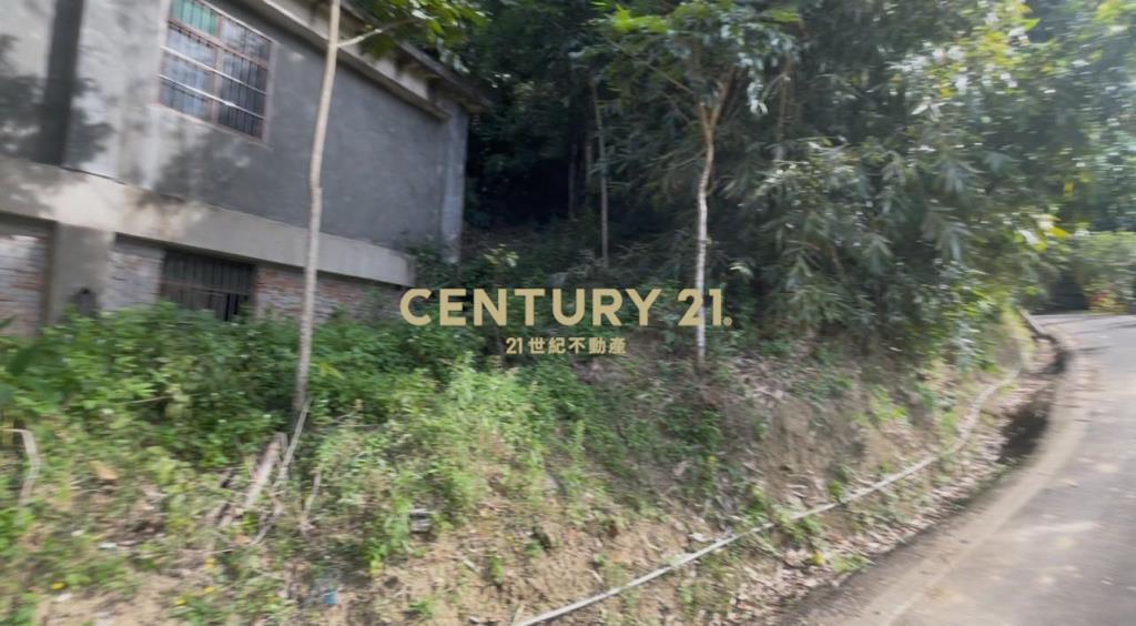 峨嵋鄉果香環繞 芬多精秘境 丙建+林地