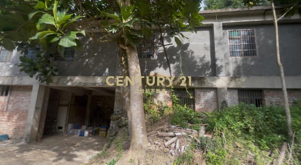 峨嵋鄉果香環繞 芬多精秘境 丙建+林地