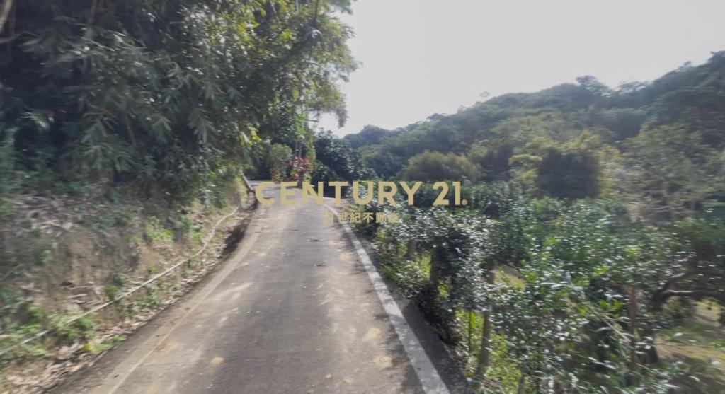 峨嵋鄉果香環繞 芬多精秘境 丙建+林地