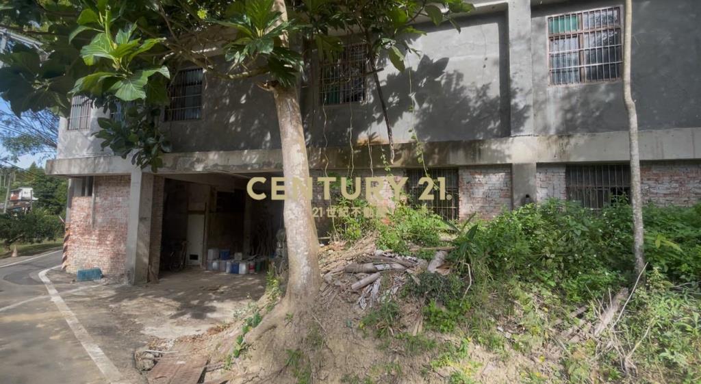 峨嵋鄉果香環繞 芬多精秘境 丙建+林地