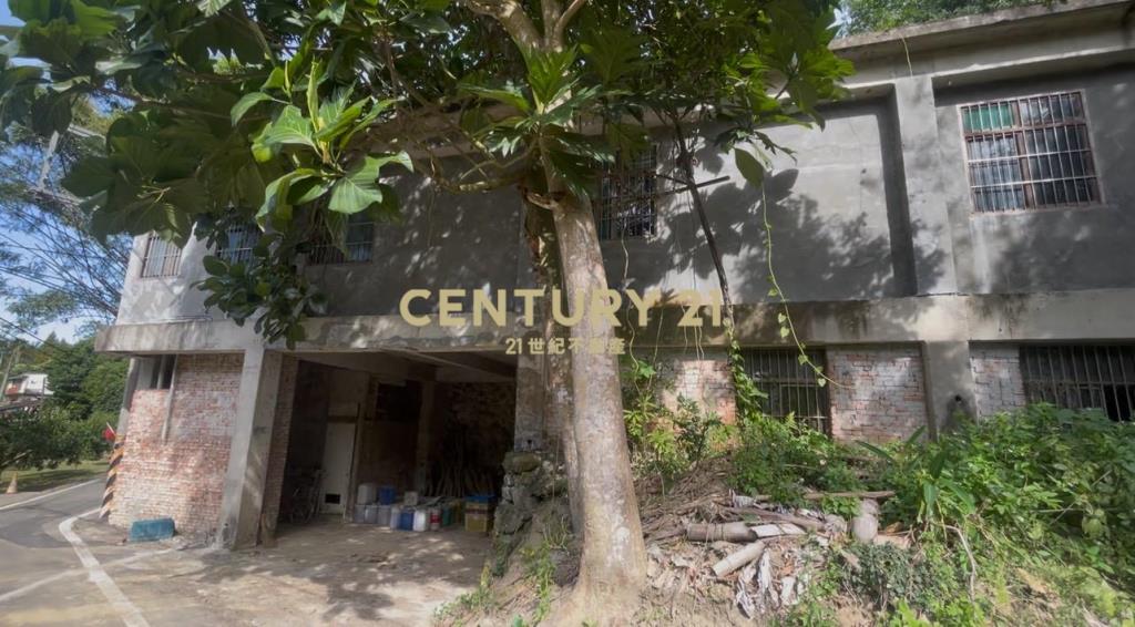 峨嵋鄉果香環繞 芬多精秘境 丙建+林地