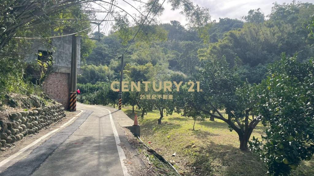 峨嵋鄉果香環繞 芬多精秘境 丙建+林地