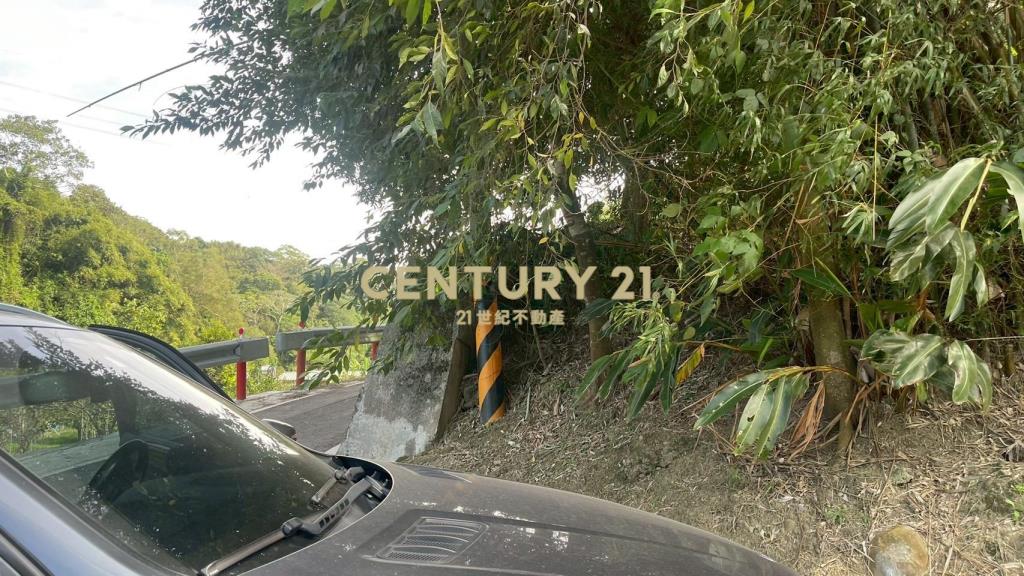 峨嵋鄉果香環繞 芬多精秘境 丙建+林地