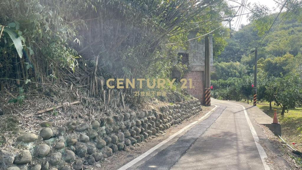 峨嵋鄉果香環繞 芬多精秘境 丙建+林地