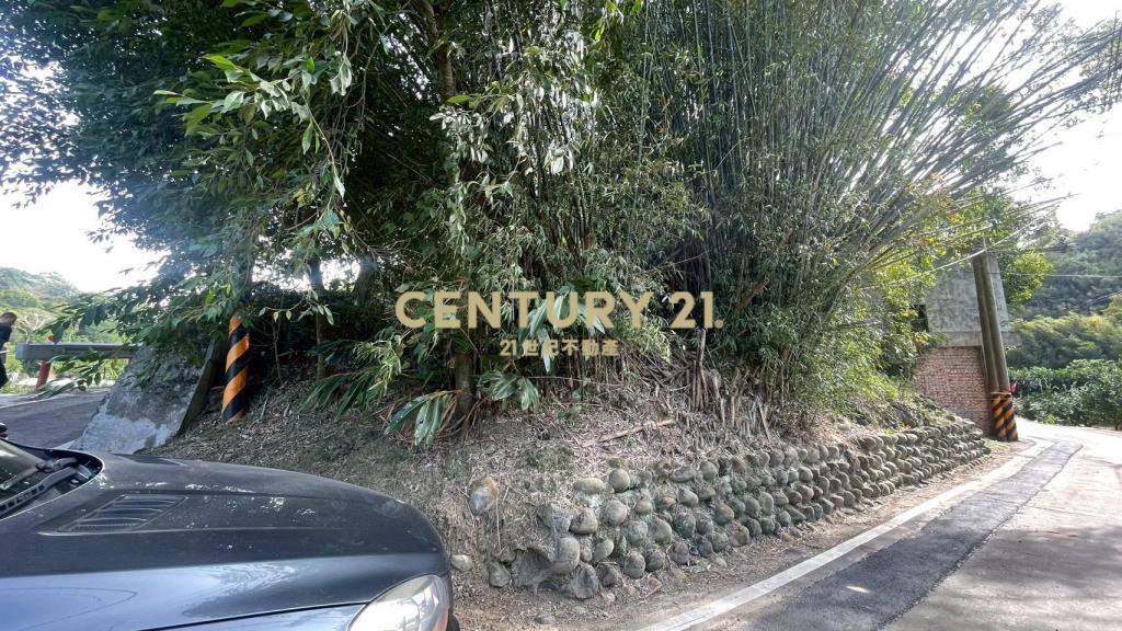 峨嵋鄉果香環繞 芬多精秘境 丙建+林地