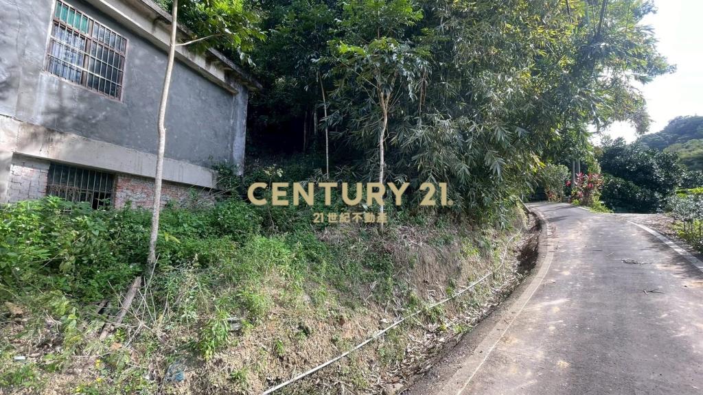 峨嵋鄉果香環繞 芬多精秘境 丙建+林地