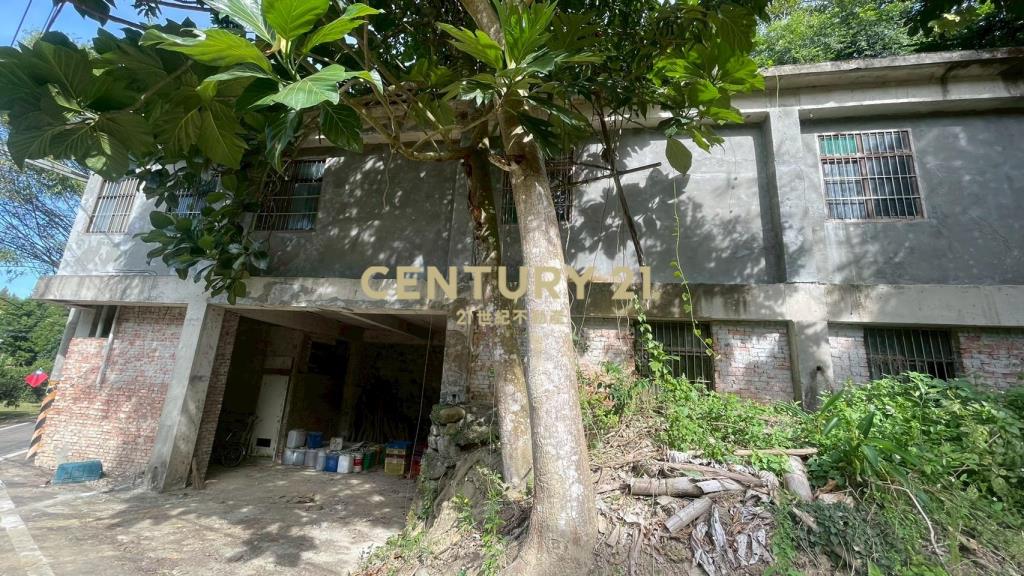 峨嵋鄉果香環繞 芬多精秘境 丙建+林地