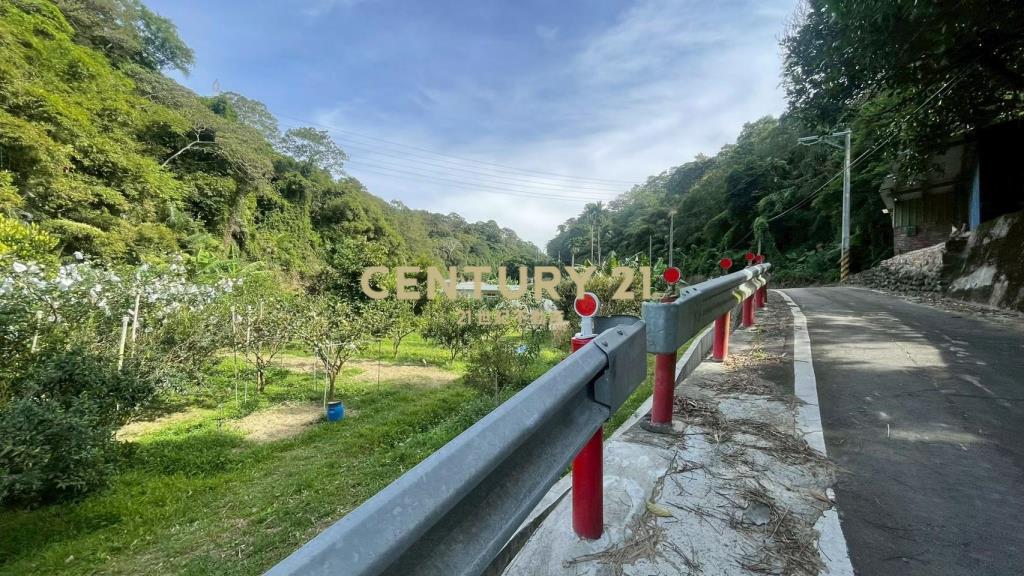 峨嵋鄉果香環繞 芬多精秘境 丙建+林地