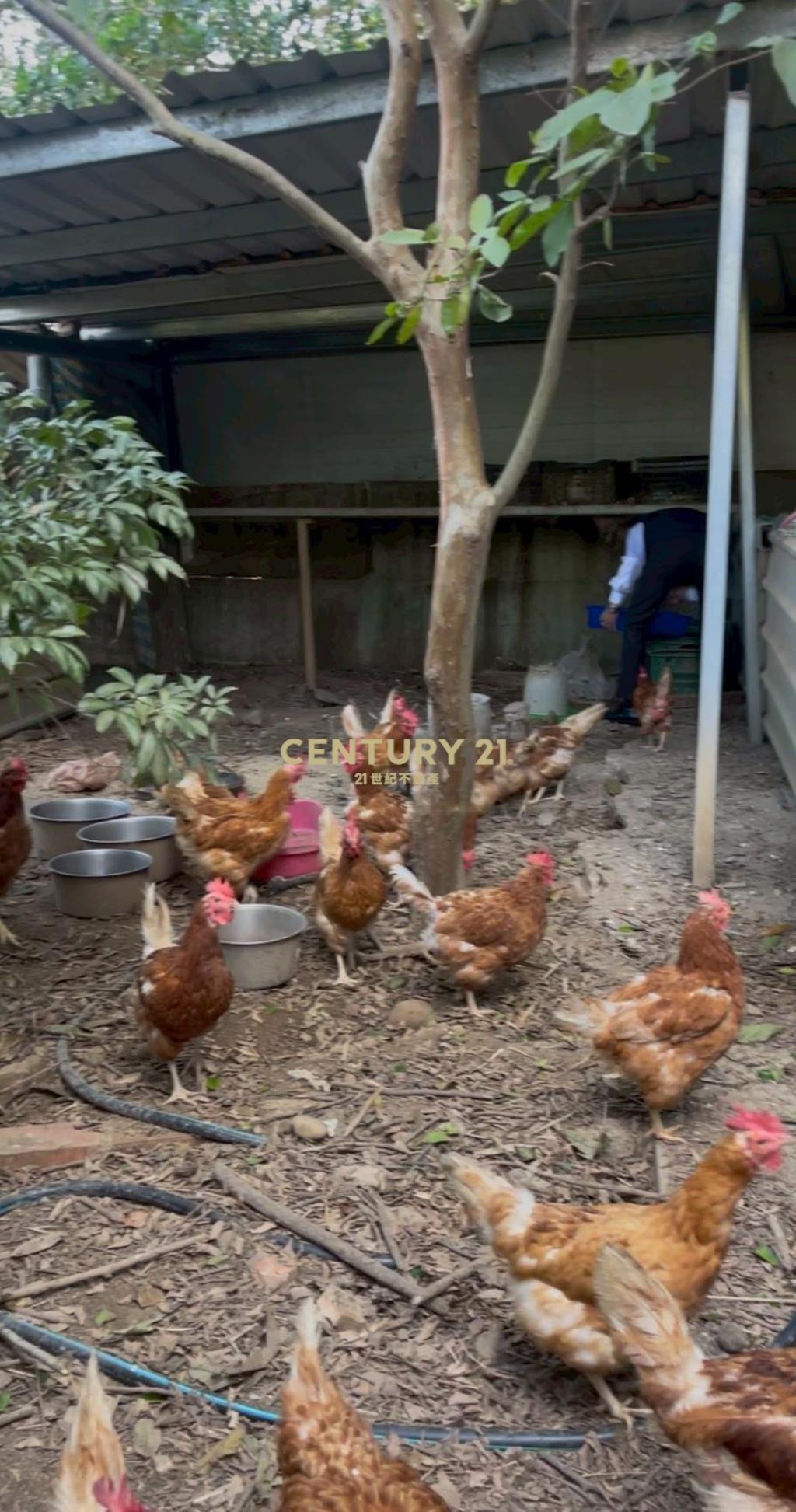 湖口臨路 農+建 城堡別墅