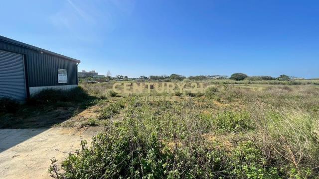 新豐美農地1173坪