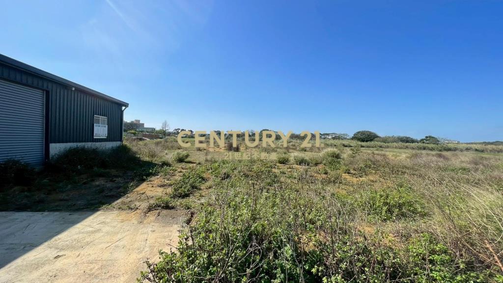 新豐美農地1173坪