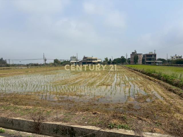 十一股方正田756坪