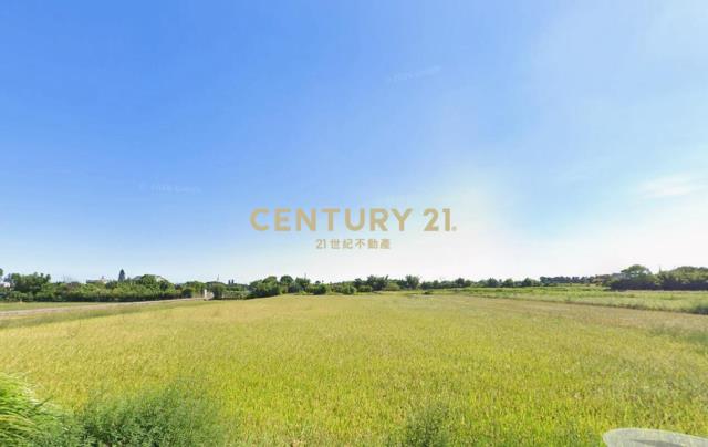 和興段農保田419坪