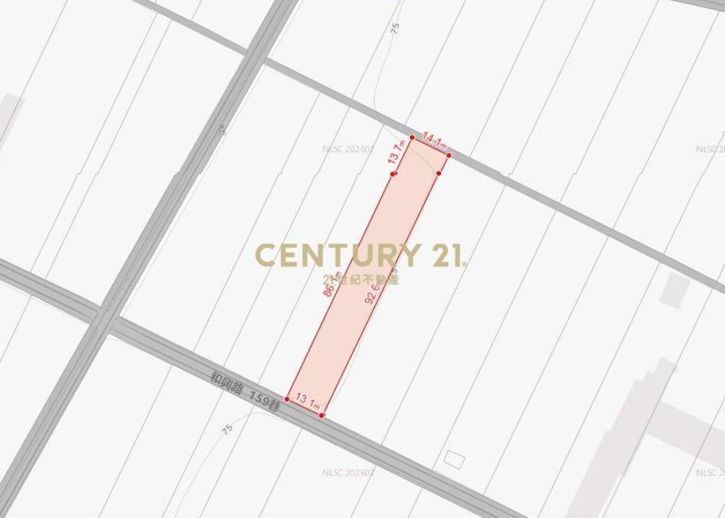 和興段農保田419坪