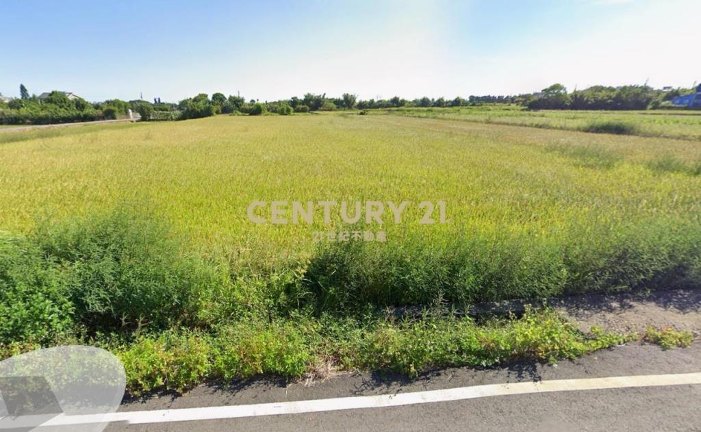 和興段農保田419坪