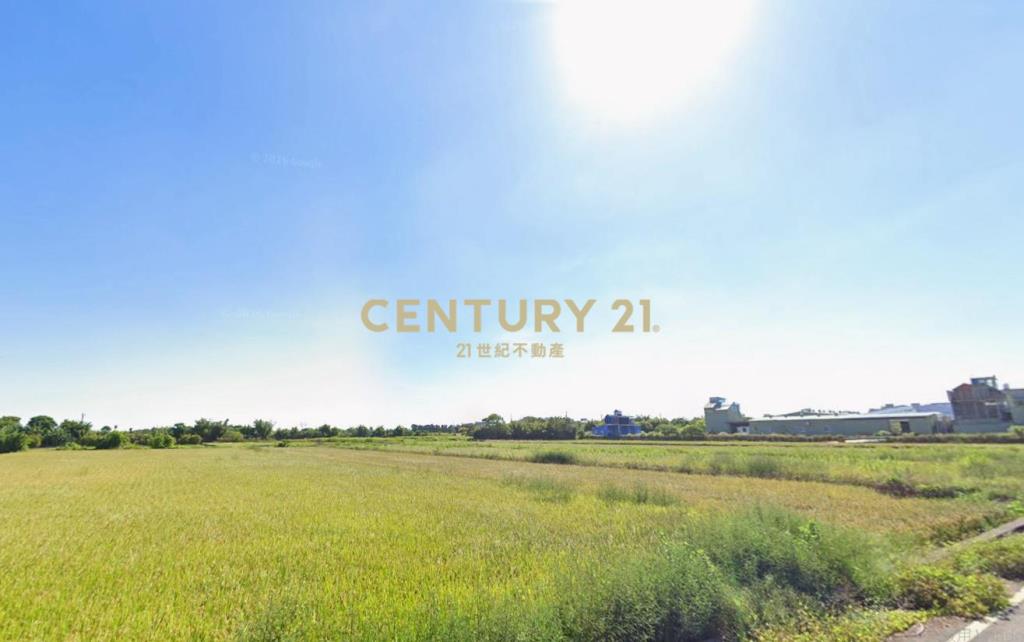 和興段農保田419坪