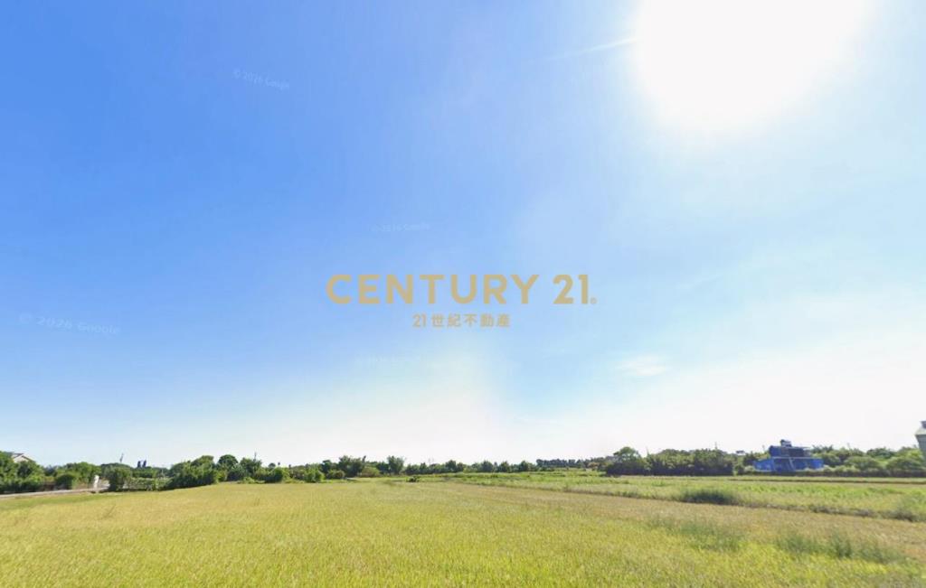 和興段農保田419坪