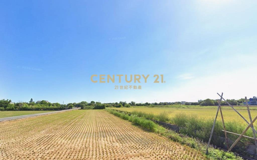 和興段農保田419坪