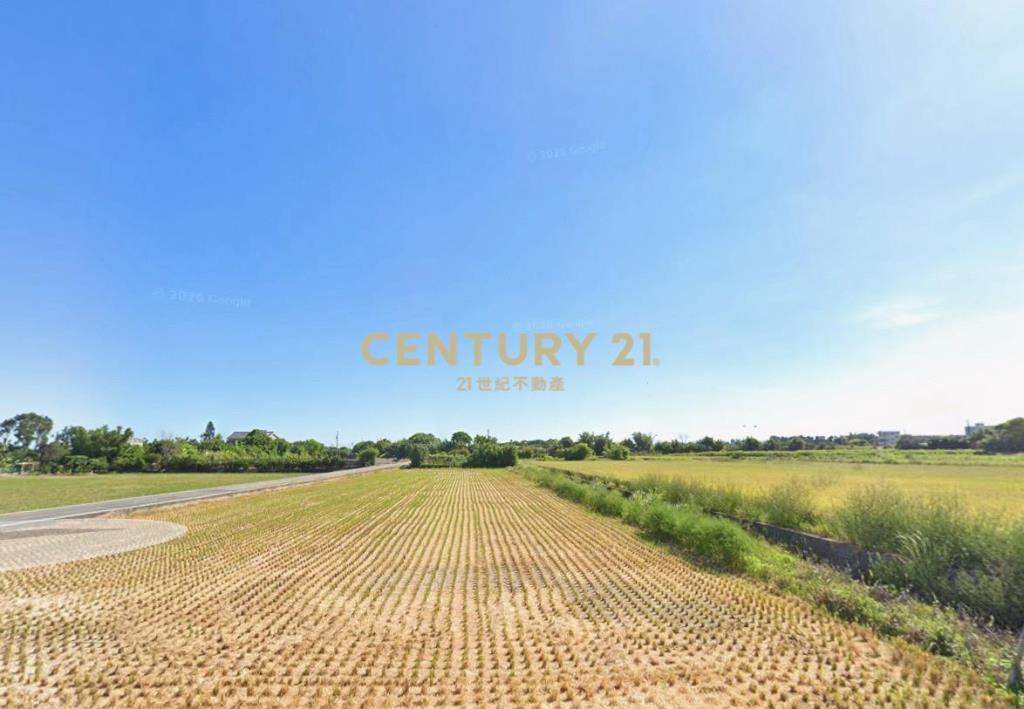 和興段農保田419坪