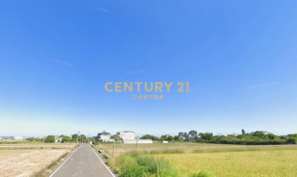 和興段農保田419坪