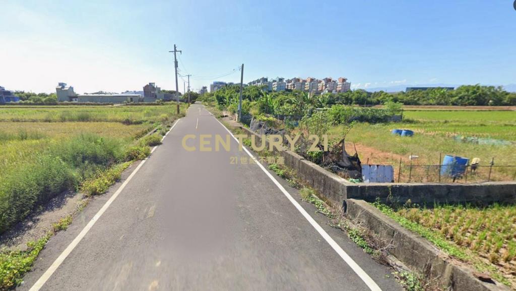 和興段農保田419坪