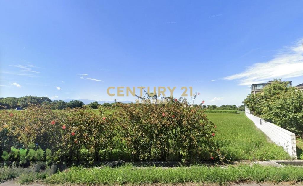 新豐西濱公路美農地514坪