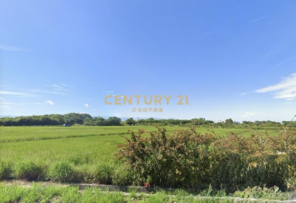 新豐西濱公路美農地514坪