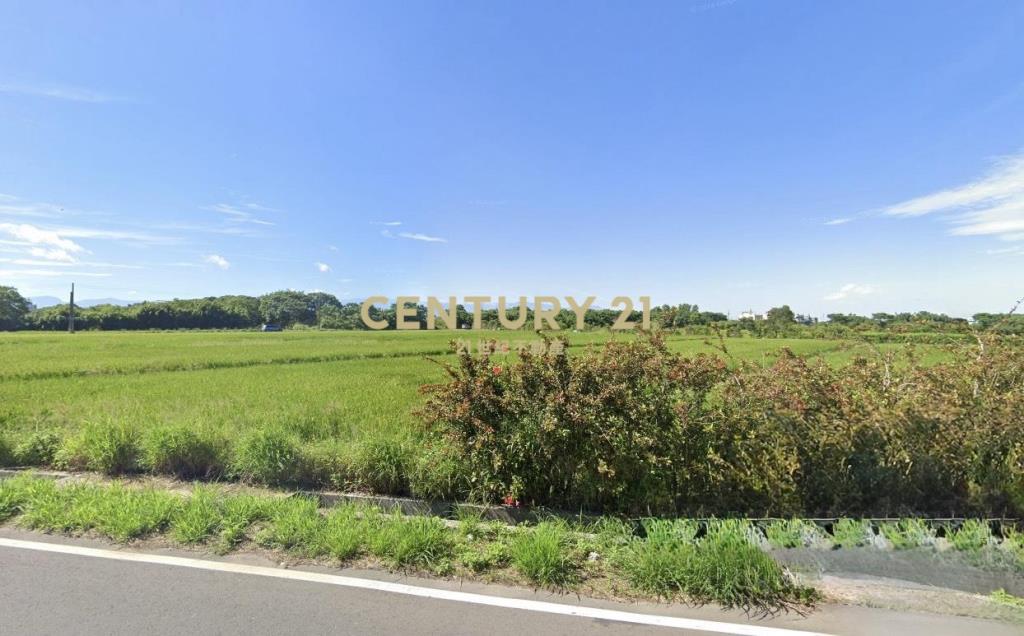 新豐西濱公路美農地514坪