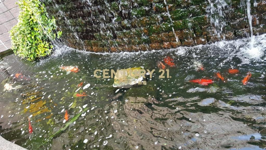 冠倫邊間收租4改3房