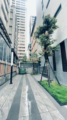 北大特區全新裝潢2房車
