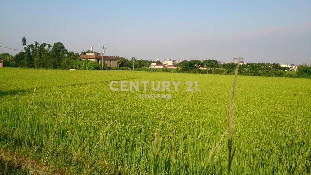 新屋-東興路前後臨路田