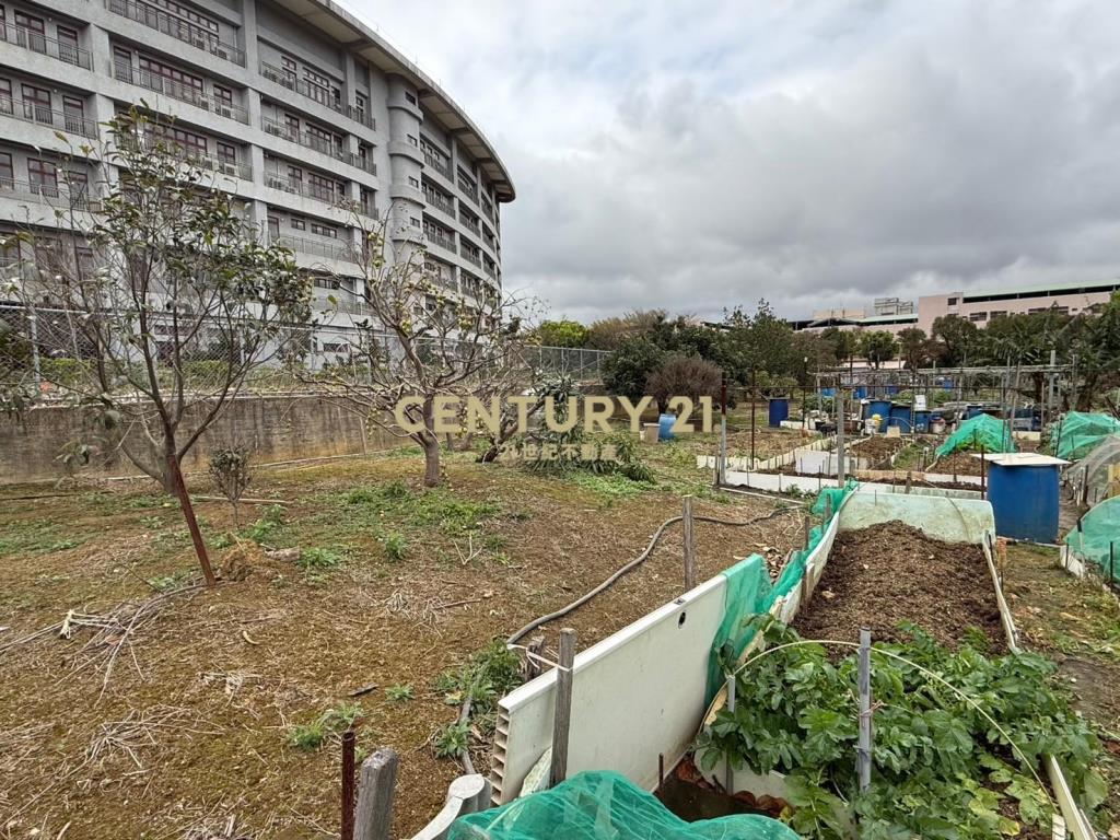 八德榮民之家旁農地