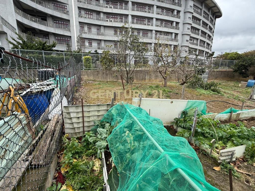 八德榮民之家旁農地