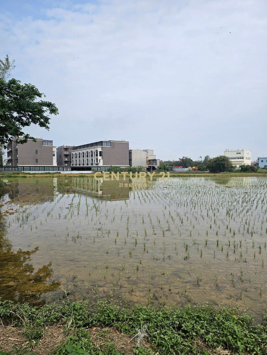 新屋中華段都內農