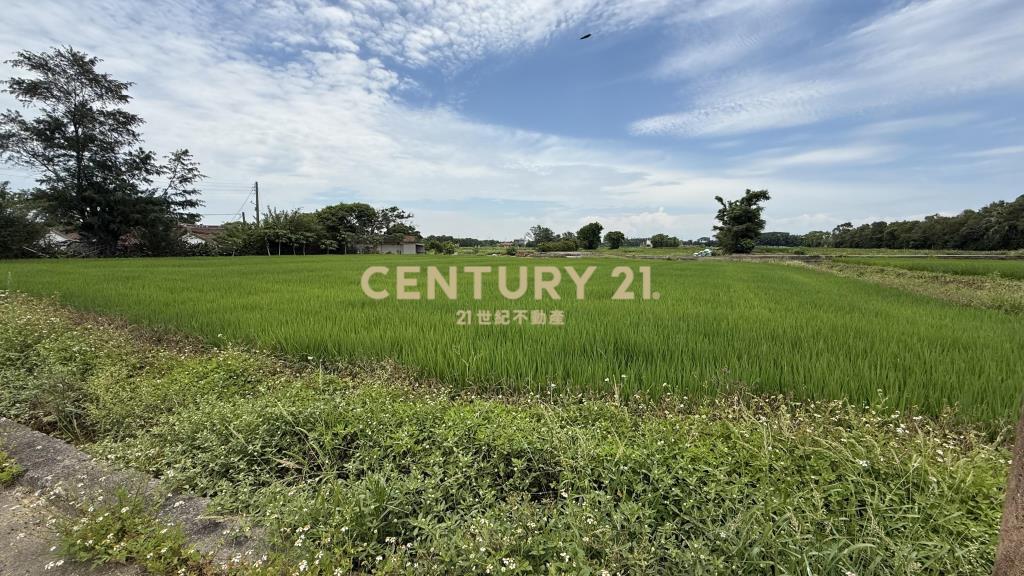 石安路三面臨路漂亮美田