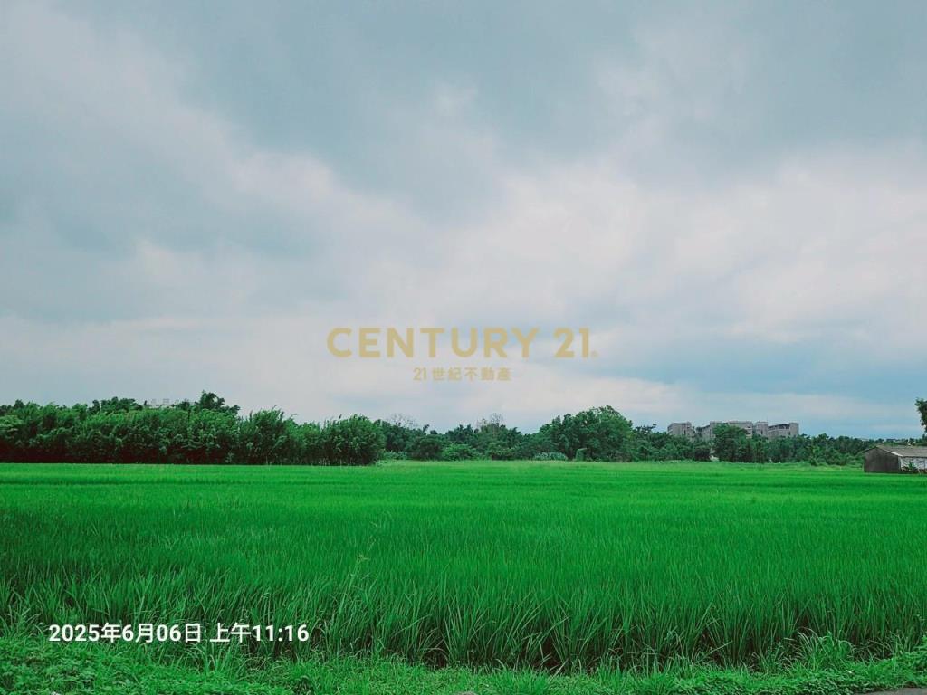 平鎮區建安段農地