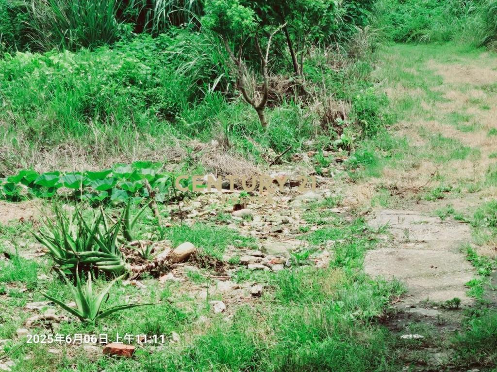 平鎮區建安段農地