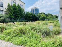 大園客運園區128坪建地