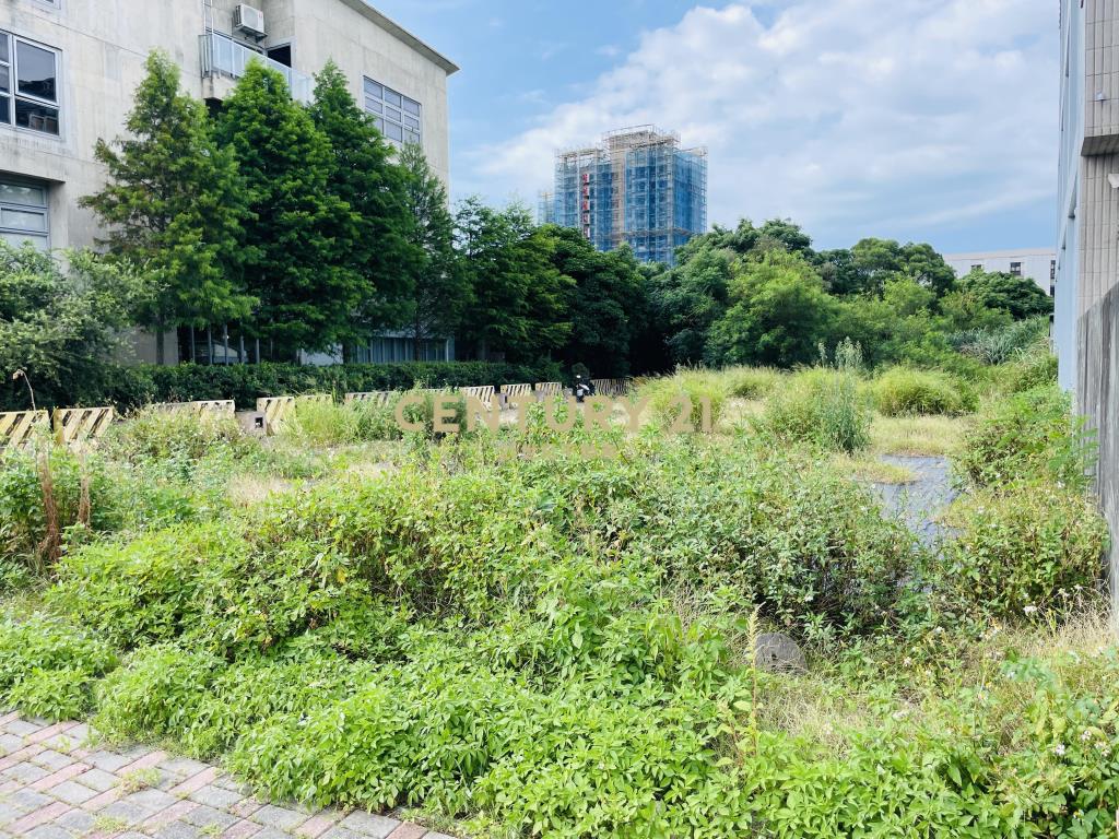 大園客運園區128坪建地