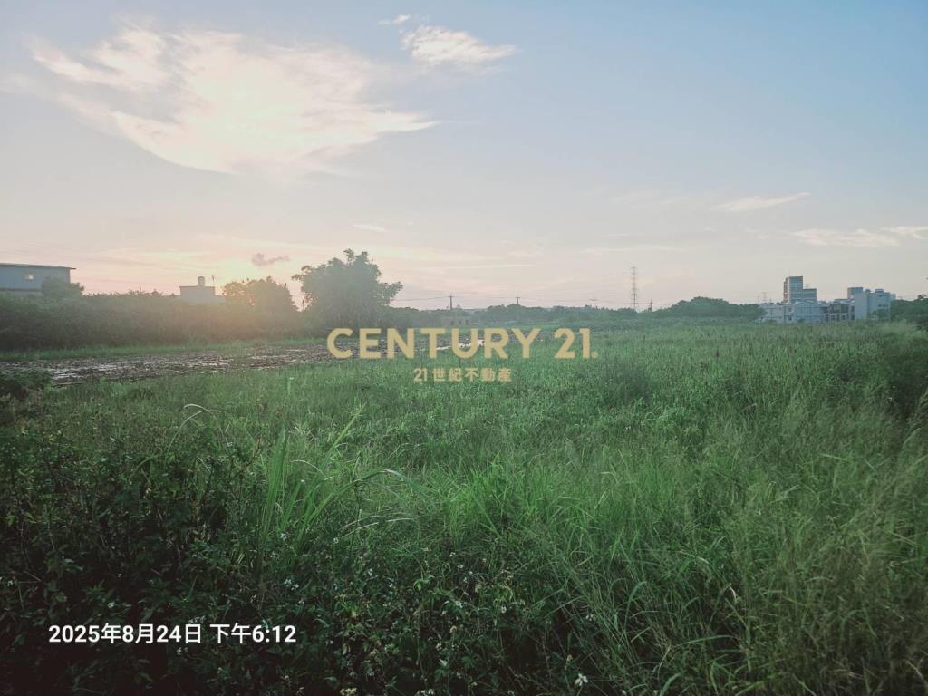 觀音區光明段特農